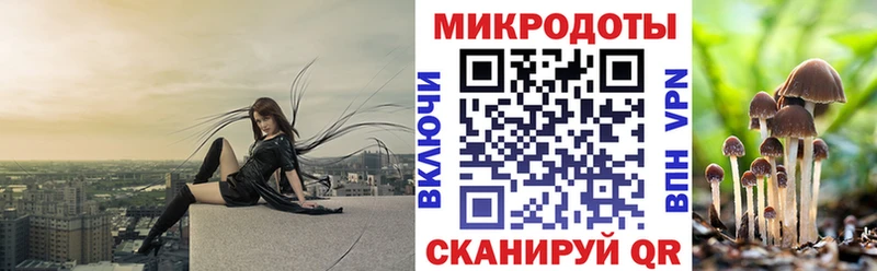Галлюциногенные грибы прущие грибы  Бабушкин 